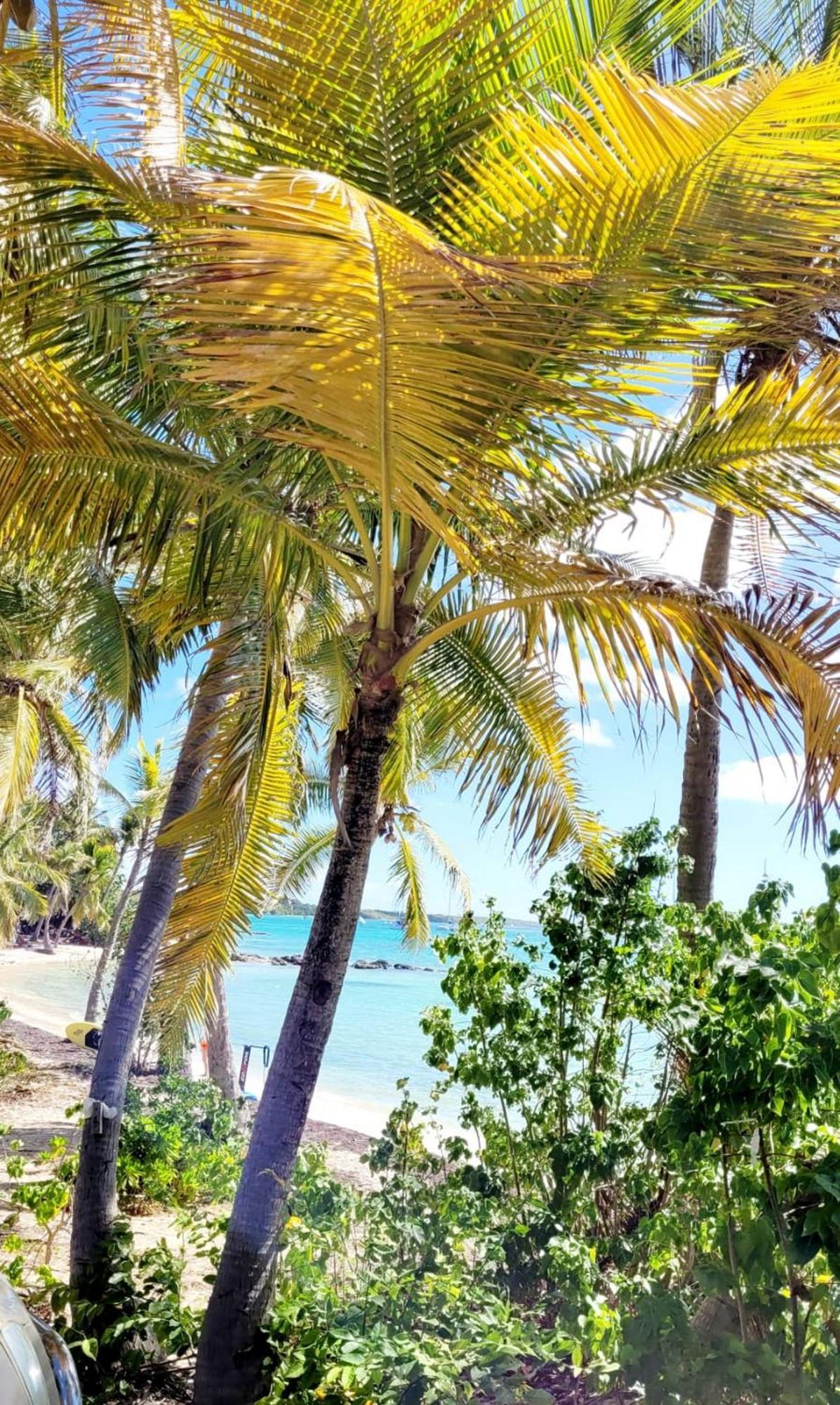 Marina Et Piscine 4-5 Pers